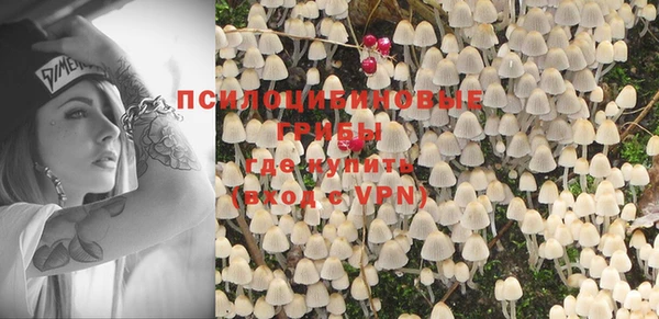 mdpv Бронницы