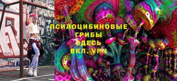 марки lsd Бородино
